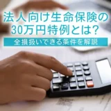 法人向け生命保険の30万円特例とは？全損扱いできる条件を解説
