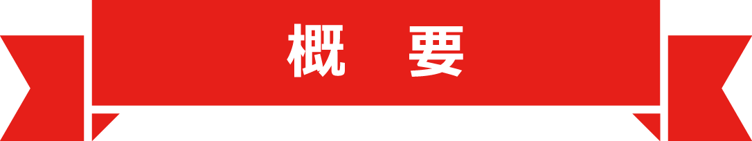 概要
